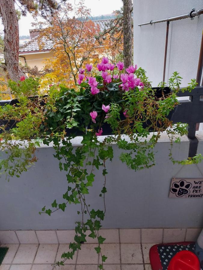 La Pineta - Delightful Small Apartment Near The City Center Λ' Άκουιλα Εξωτερικό φωτογραφία